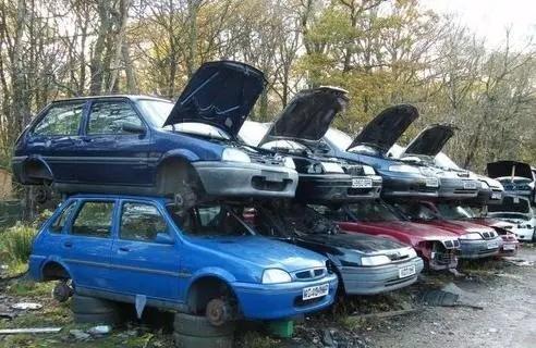 1704101617686388.jpeg c4f8e9451cbc6fb7b52e1a669cc4177e.jpeg